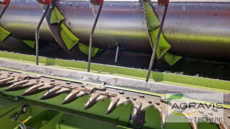 Mähdrescher a típus CLAAS LEXION 750, Gebrauchtmaschine ekkor: Melle-Wellingholzhausen (Kép 29)
