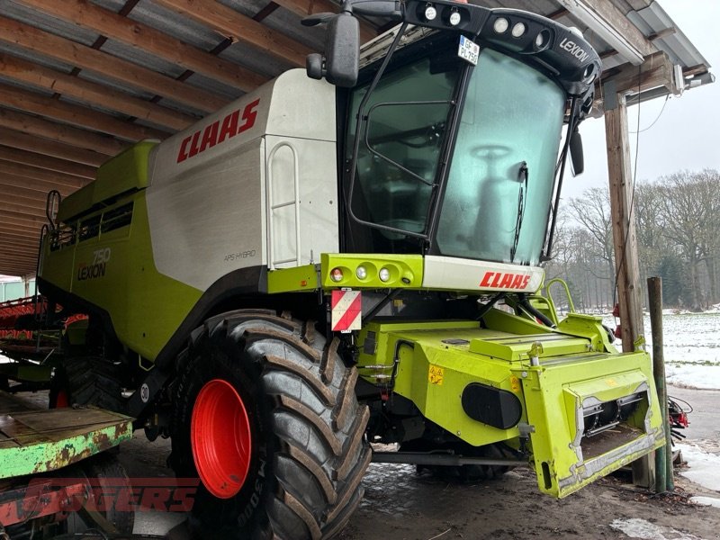 Mähdrescher des Typs CLAAS LEXION 750, Gebrauchtmaschine in Suhlendorf (Bild 5)