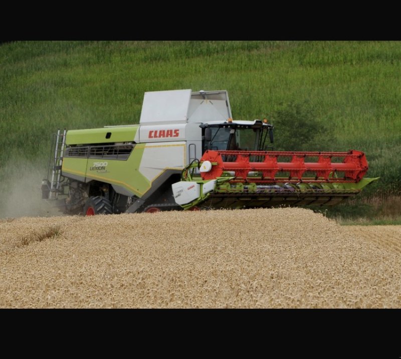 Mähdrescher of the type CLAAS Lexion 7500 TT, Gebrauchtmaschine in Mitterskirchen (Picture 1)