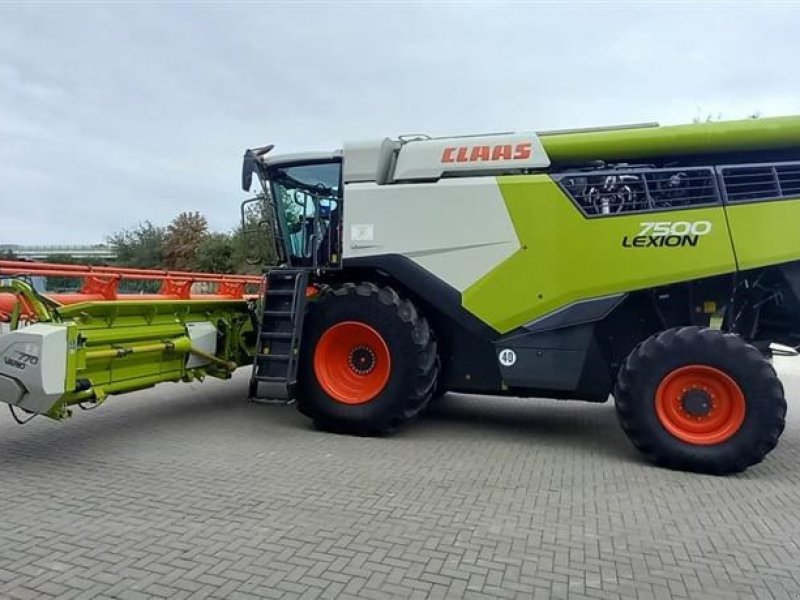 Mähdrescher des Typs CLAAS Lexion 7500 VI GIVER 50 TIMERS HØSTGARANTI I DK!!! Incl. Skærebord Vario 770 og vogn. GPS klar., Gebrauchtmaschine in Kolding (Bild 1)