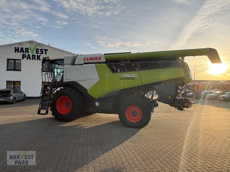 Mähdrescher des Typs CLAAS LEXION 7500, Gebrauchtmaschine in Emsbüren (Bild 1)