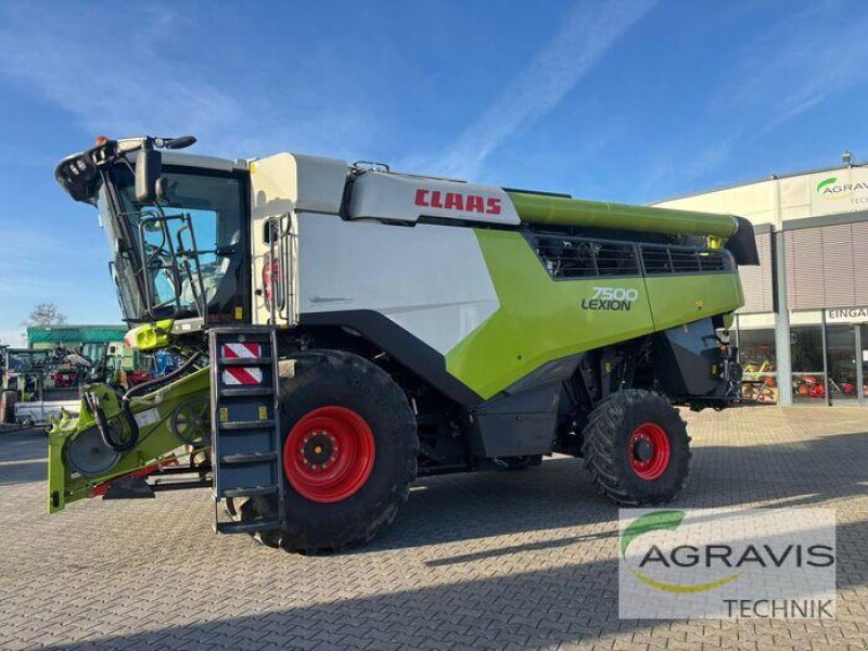 Mähdrescher del tipo CLAAS LEXION 7500, Gebrauchtmaschine en Melle-Wellingholzhausen (Imagen 1)