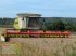 Mähdrescher del tipo CLAAS Lexion 760 TT, Gebrauchtmaschine In Werneck (Immagine 1)