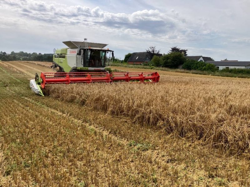 Mähdrescher del tipo CLAAS Lexion 760, Gebrauchtmaschine en Mern (Imagen 1)