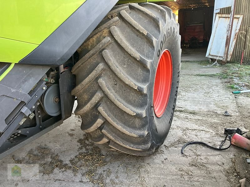 Mähdrescher typu CLAAS Lexion 770, Gebrauchtmaschine w Salsitz (Zdjęcie 12)