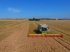 Mähdrescher tip CLAAS Lexion 780 TT, Gebrauchtmaschine in Mern (Poză 2)