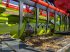 Mähdrescher tip CLAAS Lexion 8600 TT - "DEMO 2024", Gebrauchtmaschine in Mühlengeez (Poză 21)