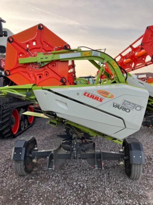 Mähdrescher Türe ait CLAAS LEXION 8700 TERRA TRAC, Gebrauchtmaschine içinde Landsberg (resim 5)