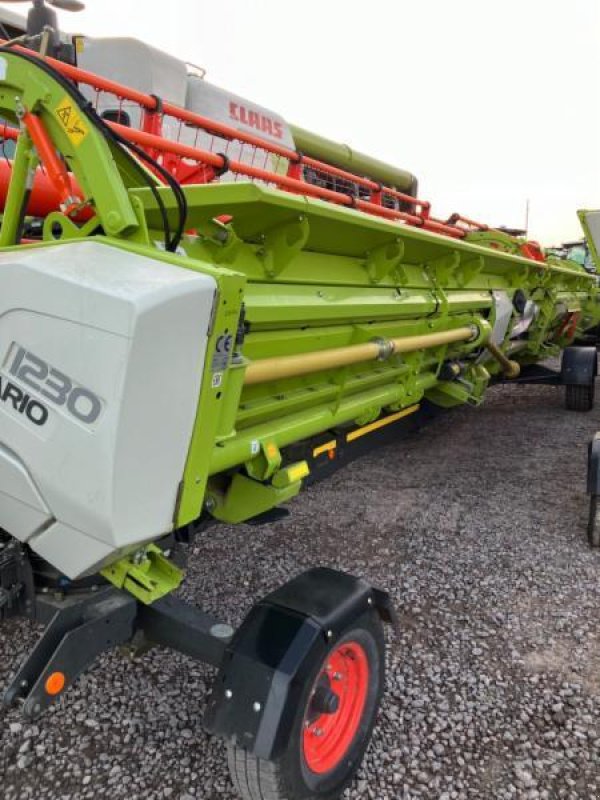 Mähdrescher Türe ait CLAAS LEXION 8700 TERRA TRAC, Gebrauchtmaschine içinde Landsberg (resim 6)