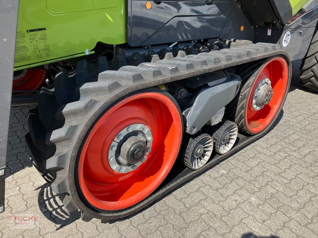 Mähdrescher of the type CLAAS Lexion 8700 TT m. Vario 1230, Gebrauchtmaschine in Demmin (Picture 13)