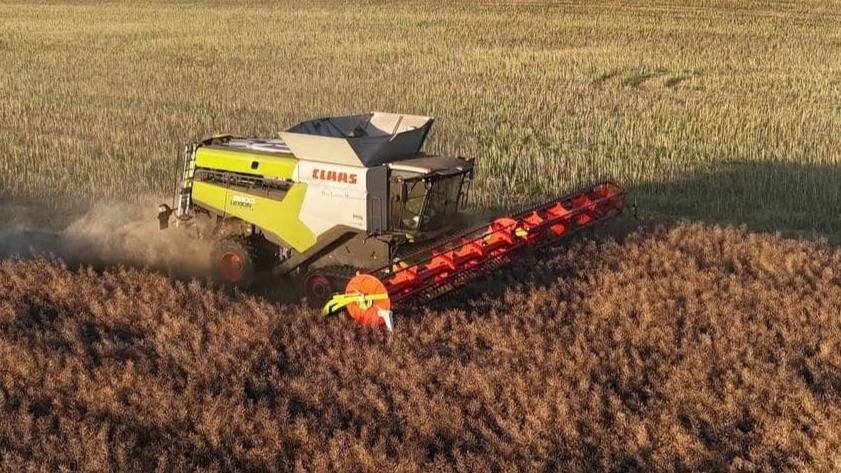 Mähdrescher του τύπου CLAAS Lexion 8800 TerraTrac, Gebrauchtmaschine σε Mern (Φωτογραφία 1)