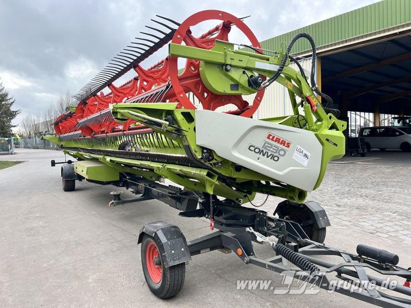 Mähdrescher typu CLAAS Lexion 8800 TT, Gebrauchtmaschine v Sülzetal OT Altenweddingen (Obrázek 10)