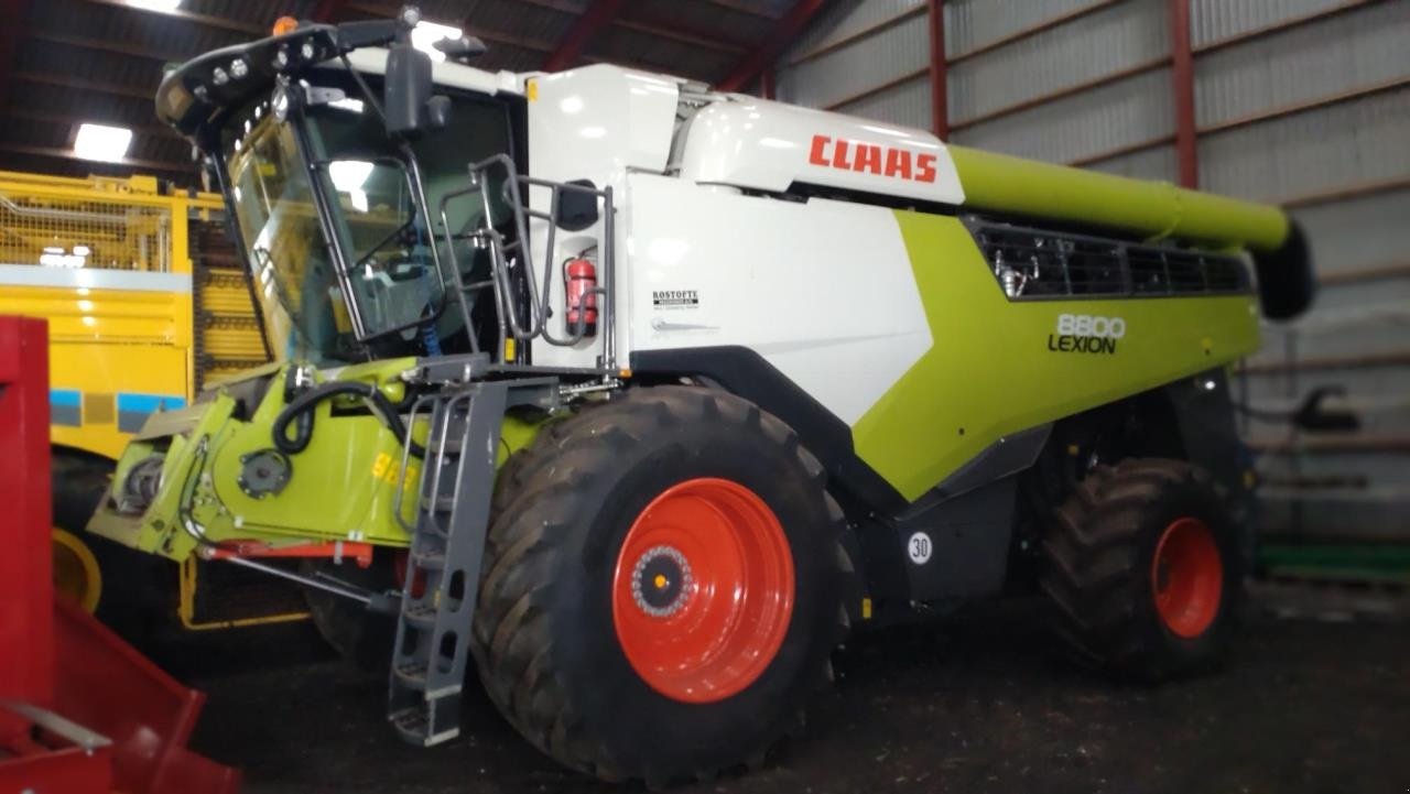 Mähdrescher del tipo CLAAS LEXION 8800, Gebrauchtmaschine In Maribo (Immagine 1)