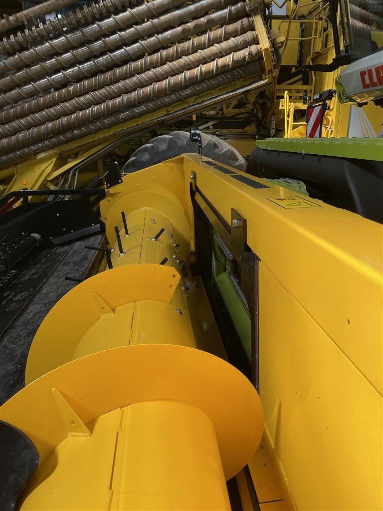 Mähdrescher typu CLAAS LEXION Adapter, Gebrauchtmaschine v Roskilde (Obrázek 3)