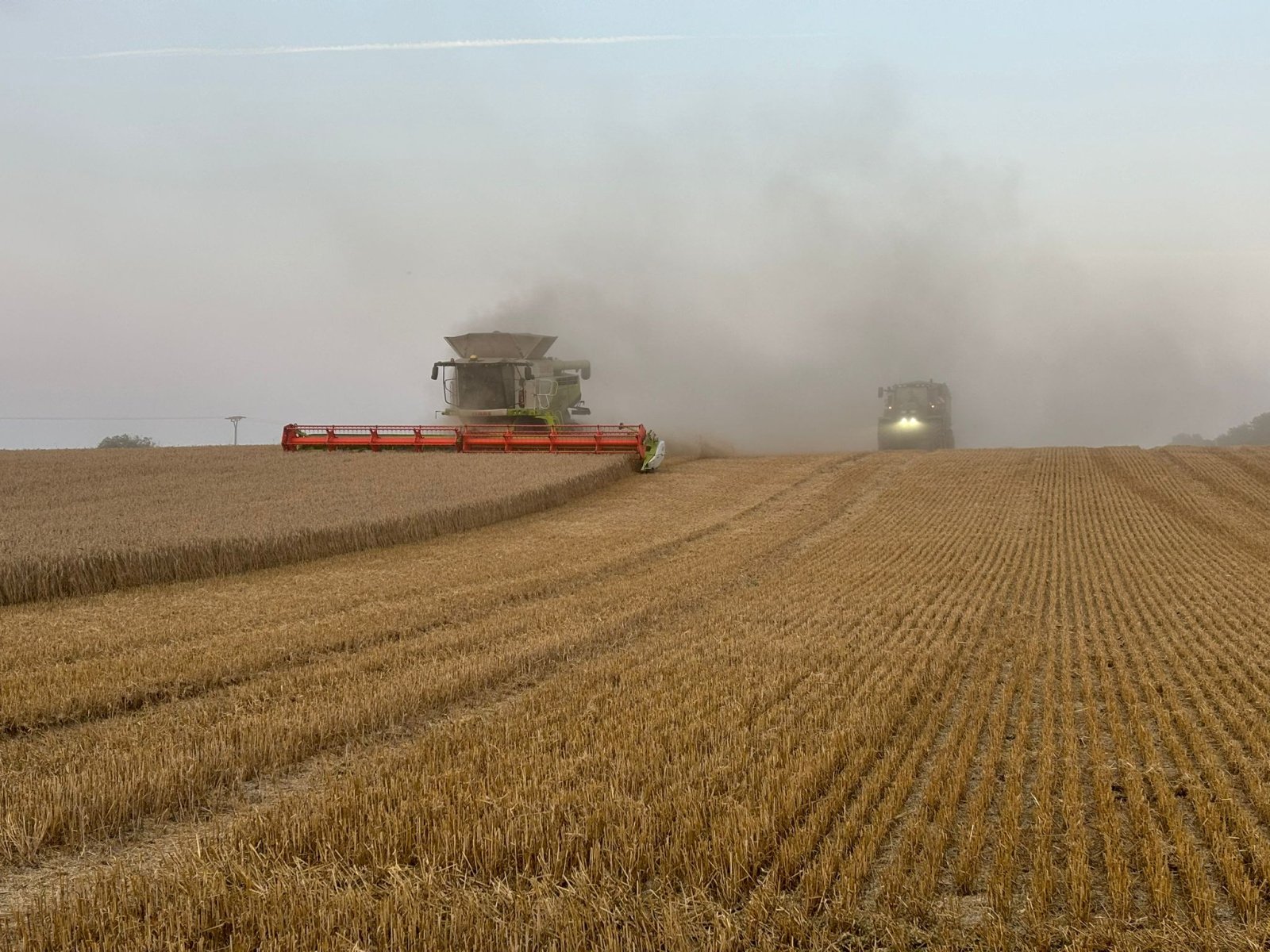 Mähdrescher typu CLAAS Lexion, Gebrauchtmaschine v Neubrandenburg (Obrázek 1)