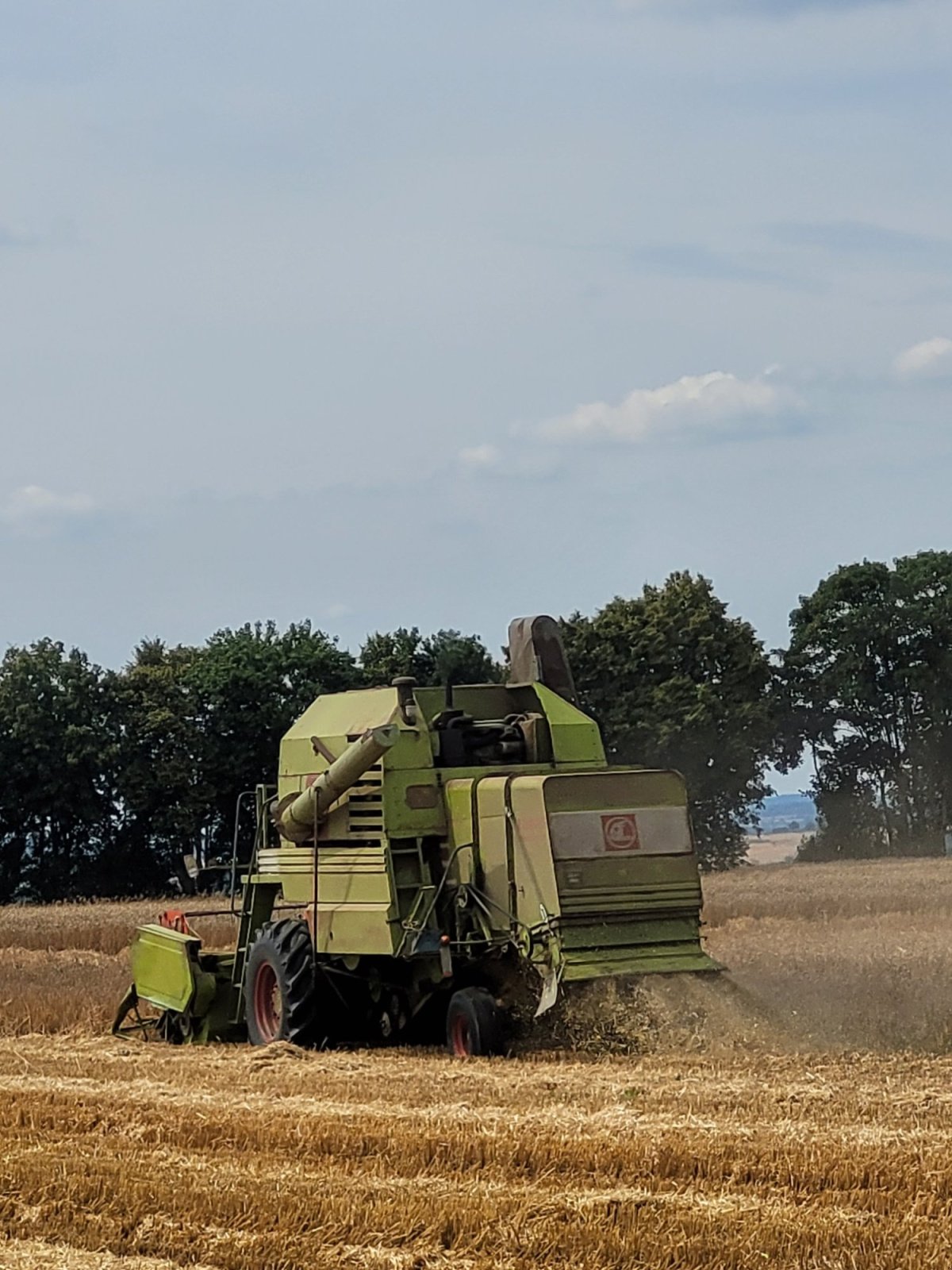 Mähdrescher of the type CLAAS Mercator, Gebrauchtmaschine in Runkel (Picture 3)