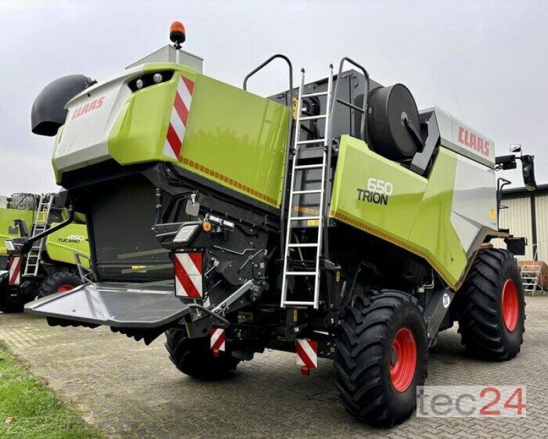 Mähdrescher del tipo CLAAS Trion 650 mit Schneidwerk, Gebrauchtmaschine In Östringen (Immagine 5)