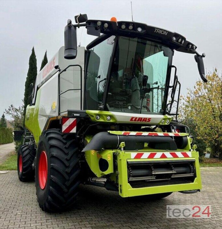 Mähdrescher типа CLAAS Trion 650 mit Schneidwerk, Gebrauchtmaschine в Östringen (Фотография 1)