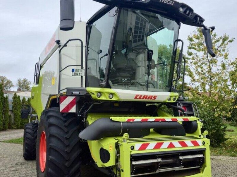 Mähdrescher des Typs CLAAS Trion 650 mit Schneidwerk, Vorführmaschine in Östringen (Bild 1)
