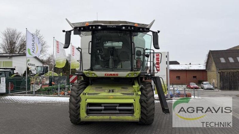 Mähdrescher za tip CLAAS TRION 660 MONTANA, Gebrauchtmaschine u Werl-Oberbergstraße (Slika 2)