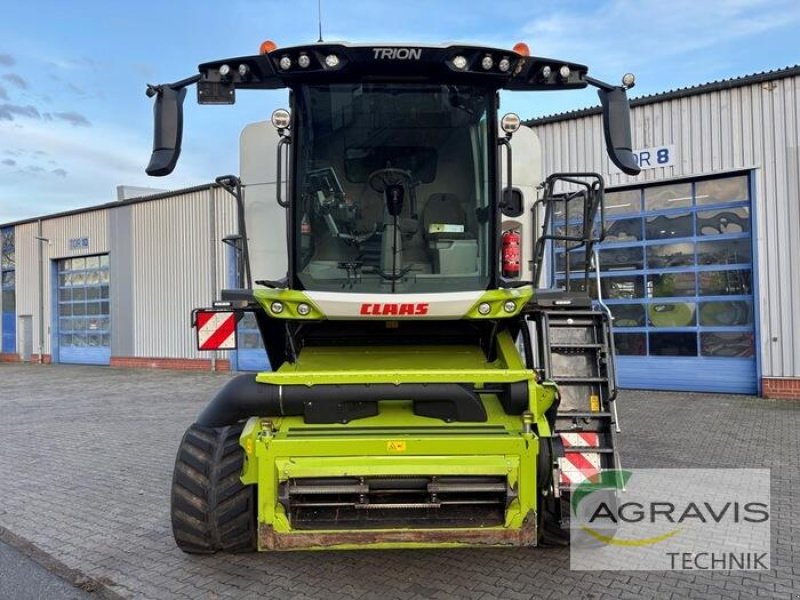Mähdrescher of the type CLAAS TRION 660 TERRA TRAC Allrad, Gebrauchtmaschine in Meppen (Picture 5)