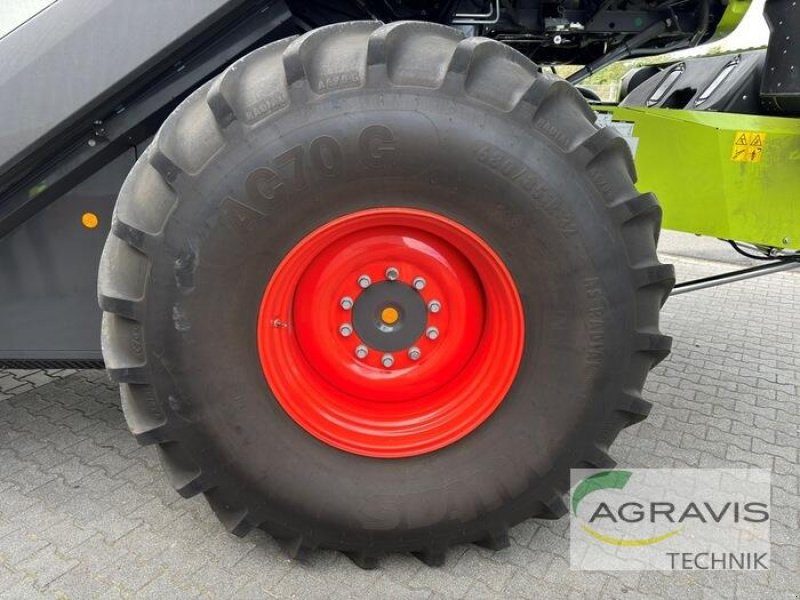 Mähdrescher typu CLAAS TRION 660, Gebrauchtmaschine v Meppen (Obrázek 5)