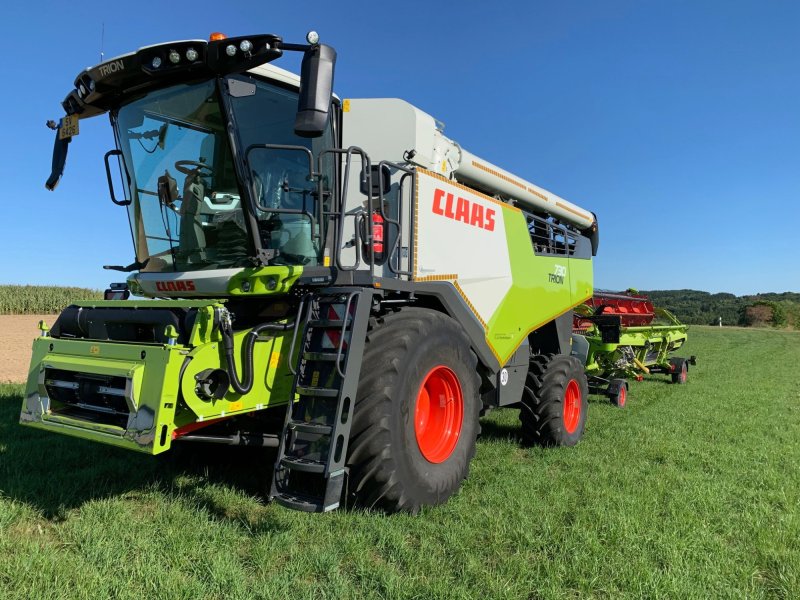 Mähdrescher van het type CLAAS Trion 730, Gebrauchtmaschine in Knaphoscheid (Foto 1)