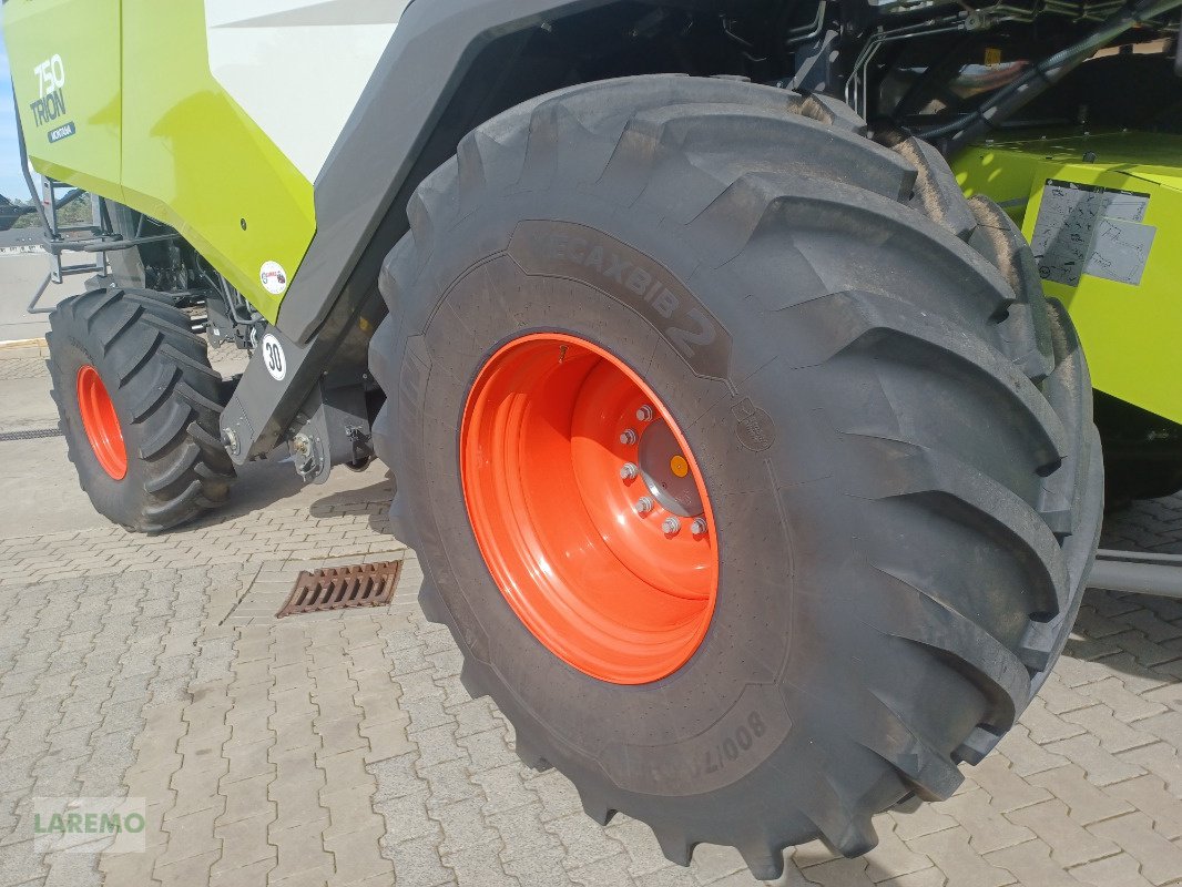 Mähdrescher του τύπου CLAAS Trion 750 Montana + V 770, Gebrauchtmaschine σε Langenwetzendorf (Φωτογραφία 7)