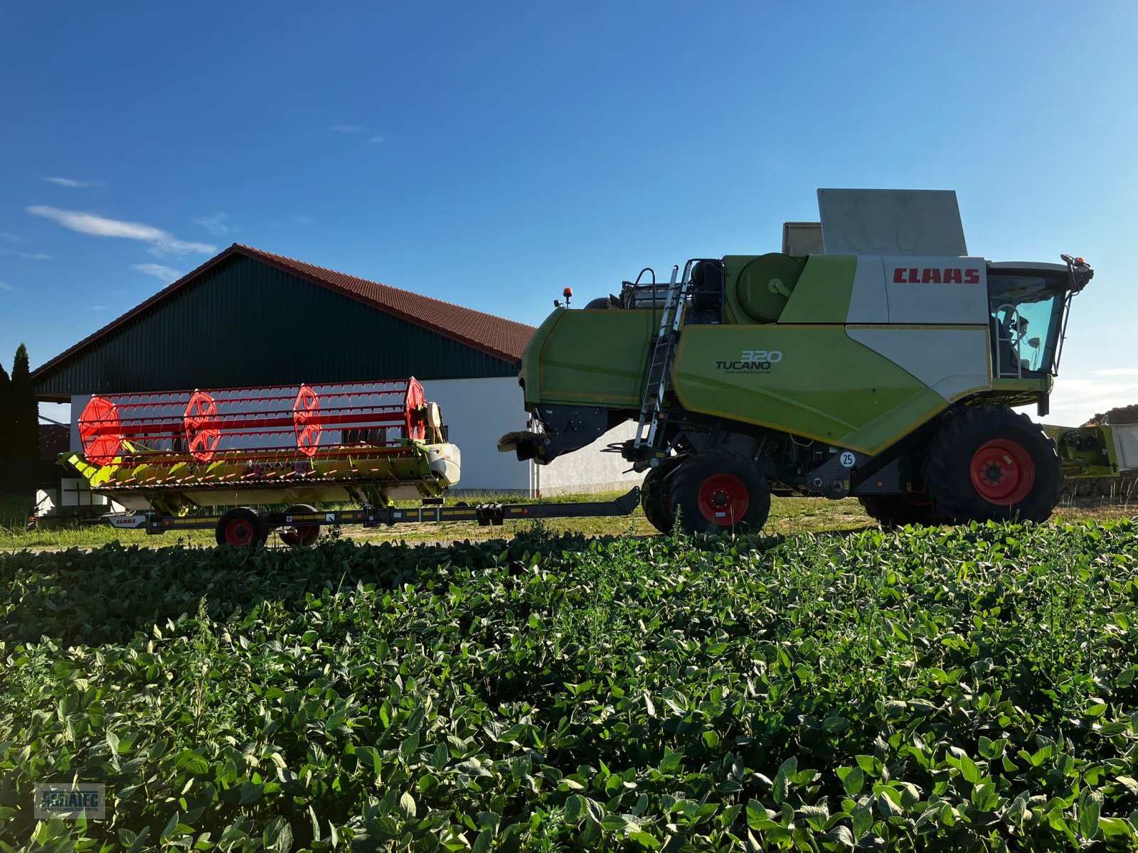 Mähdrescher typu CLAAS Tucano 320, Gebrauchtmaschine v Salching bei Straubing (Obrázek 8)