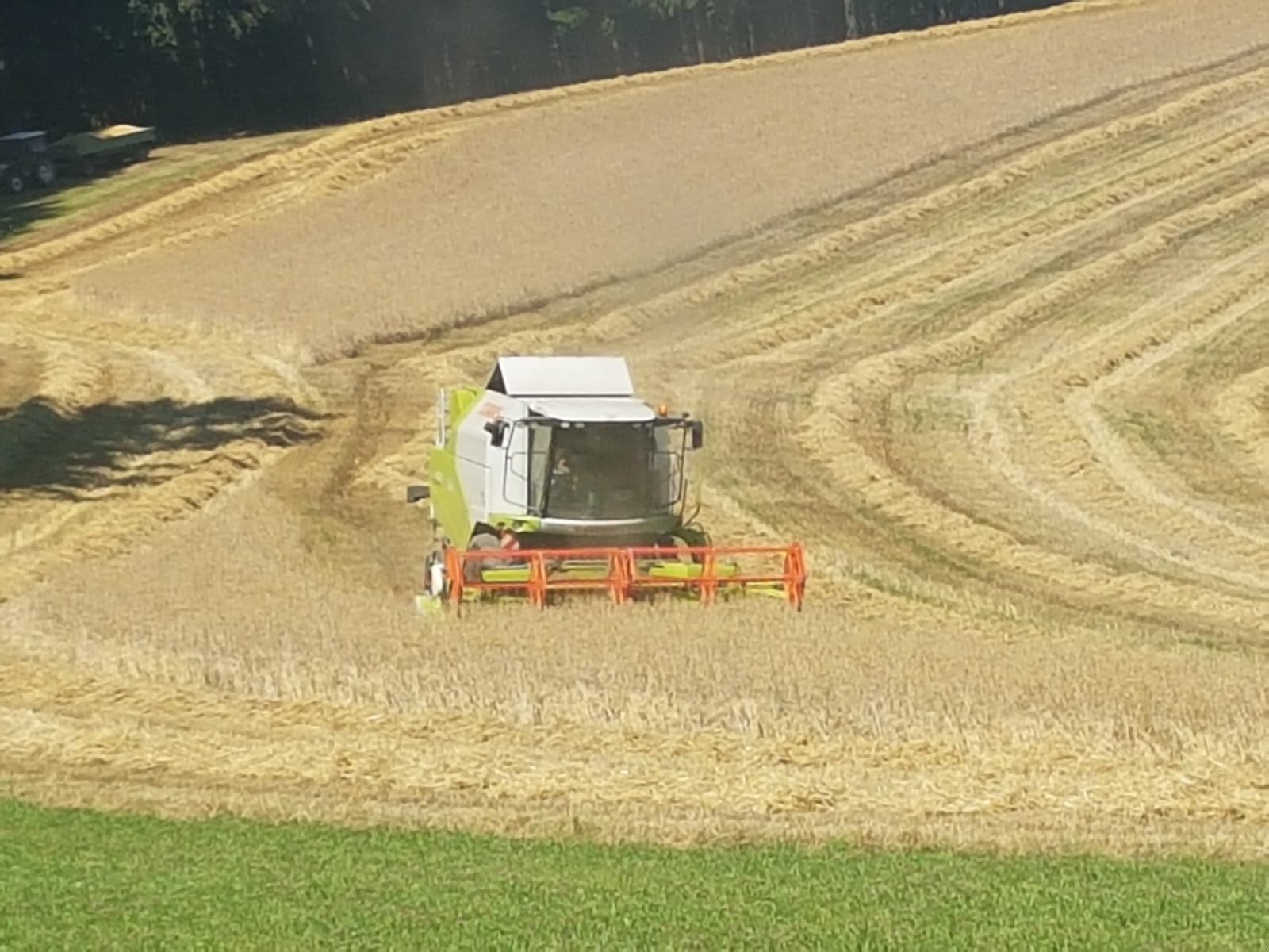 Mähdrescher des Typs CLAAS Tucano 430 APS, Gebrauchtmaschine in Fischerbach (Bild 2)