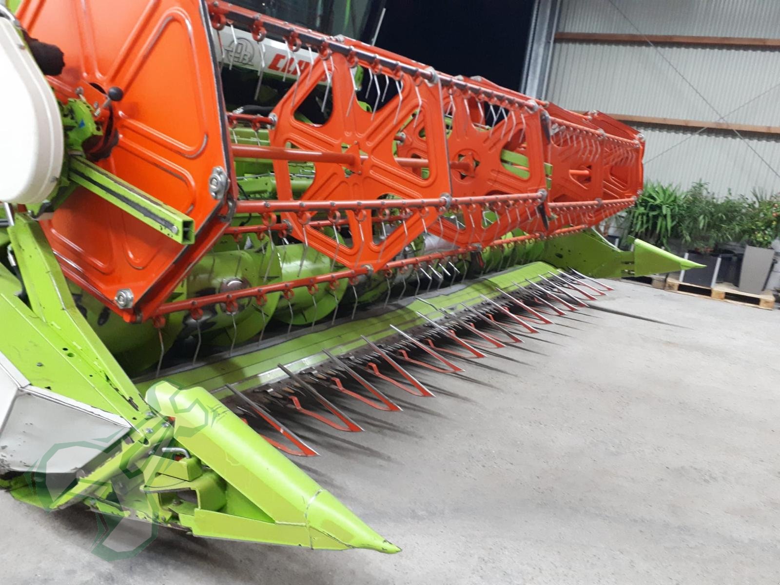 Mähdrescher a típus CLAAS Tucano 430, Gebrauchtmaschine ekkor: Neustadt an der Weinstraße (Kép 7)