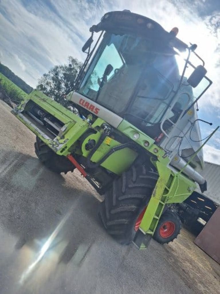 Mähdrescher of the type CLAAS TUCANO 450, Gebrauchtmaschine in MANDRES-SUR-VAIR (Picture 4)