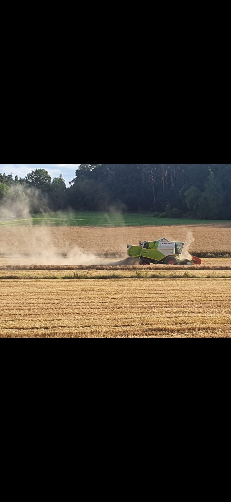 Mähdrescher typu CLAAS Tucano 450, Gebrauchtmaschine v Freudenberg (Obrázek 2)