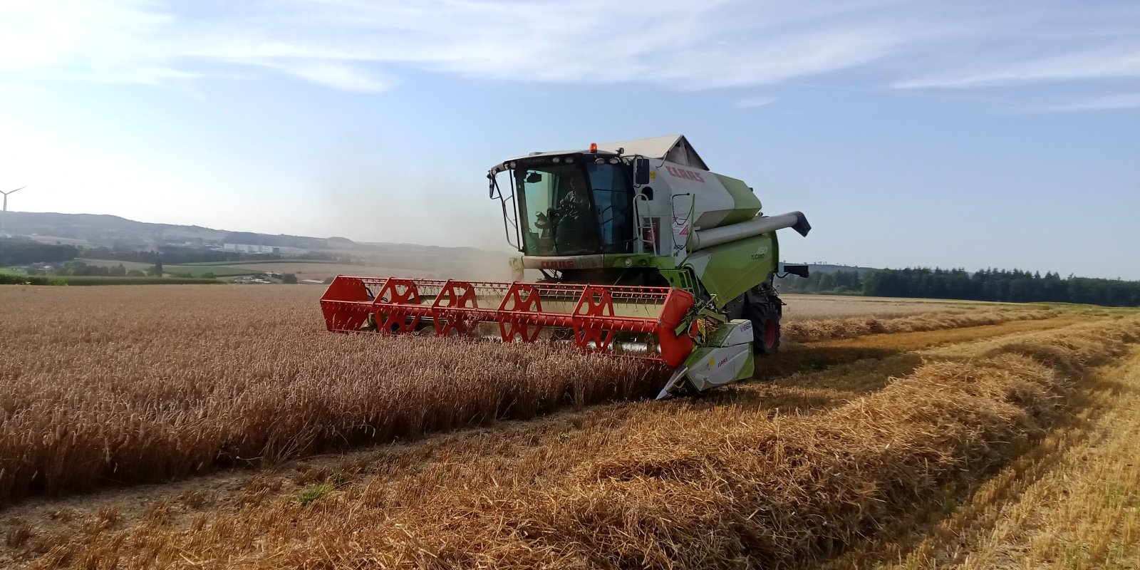 Mähdrescher Türe ait CLAAS Tucano 450, Gebrauchtmaschine içinde Steinheim (resim 2)