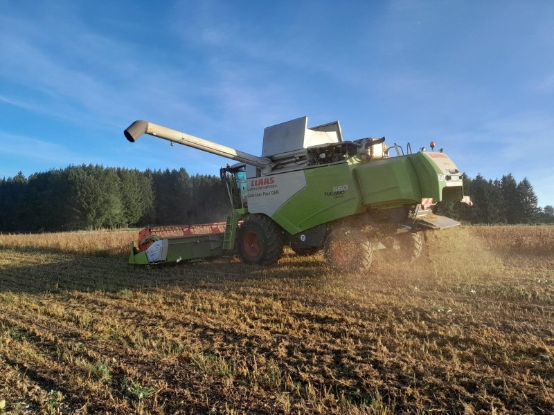 Mähdrescher typu CLAAS Tucano 560 APS Hybrid, Gebrauchtmaschine w Pfullendorf (Zdjęcie 1)