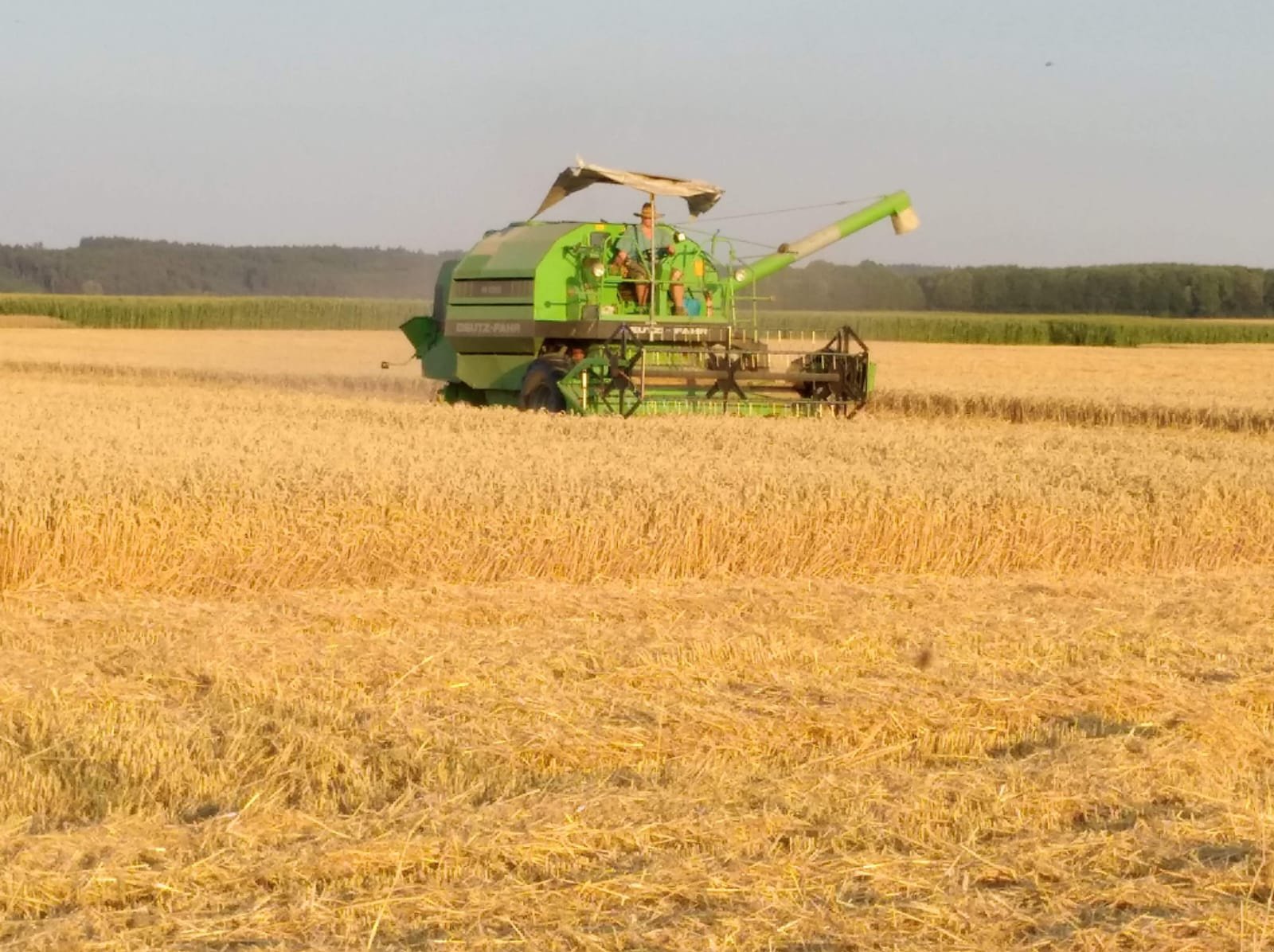 Mähdrescher des Typs Deutz-Fahr M 1080, Gebrauchtmaschine in Bayerdilling (Bild 3)
