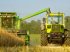 Mähdrescher des Typs Deutz-Fahr Topliner 4065 HTS, Gebrauchtmaschine in Eitensheim  (Bild 11)