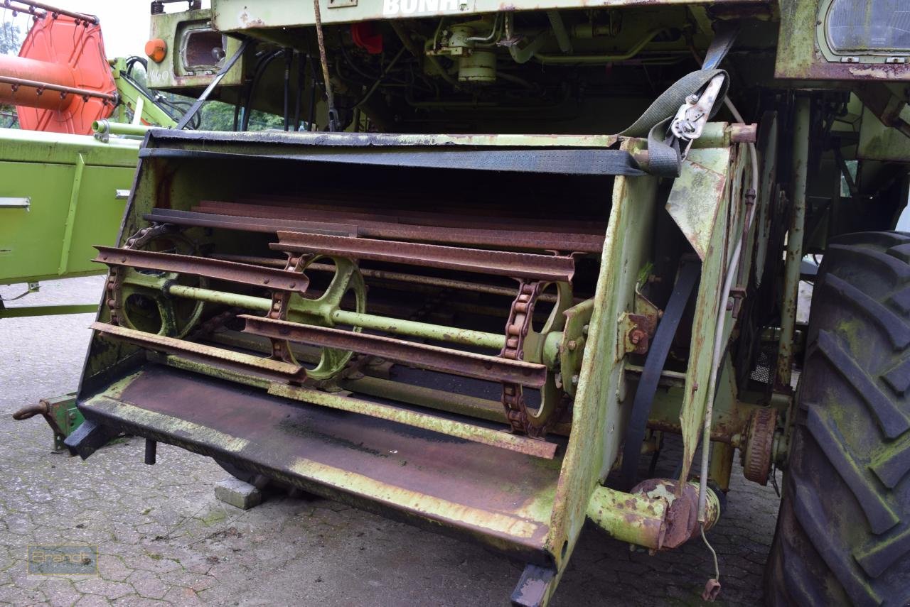 Mähdrescher typu Fortschritt E 514, Gebrauchtmaschine v Oyten (Obrázek 9)