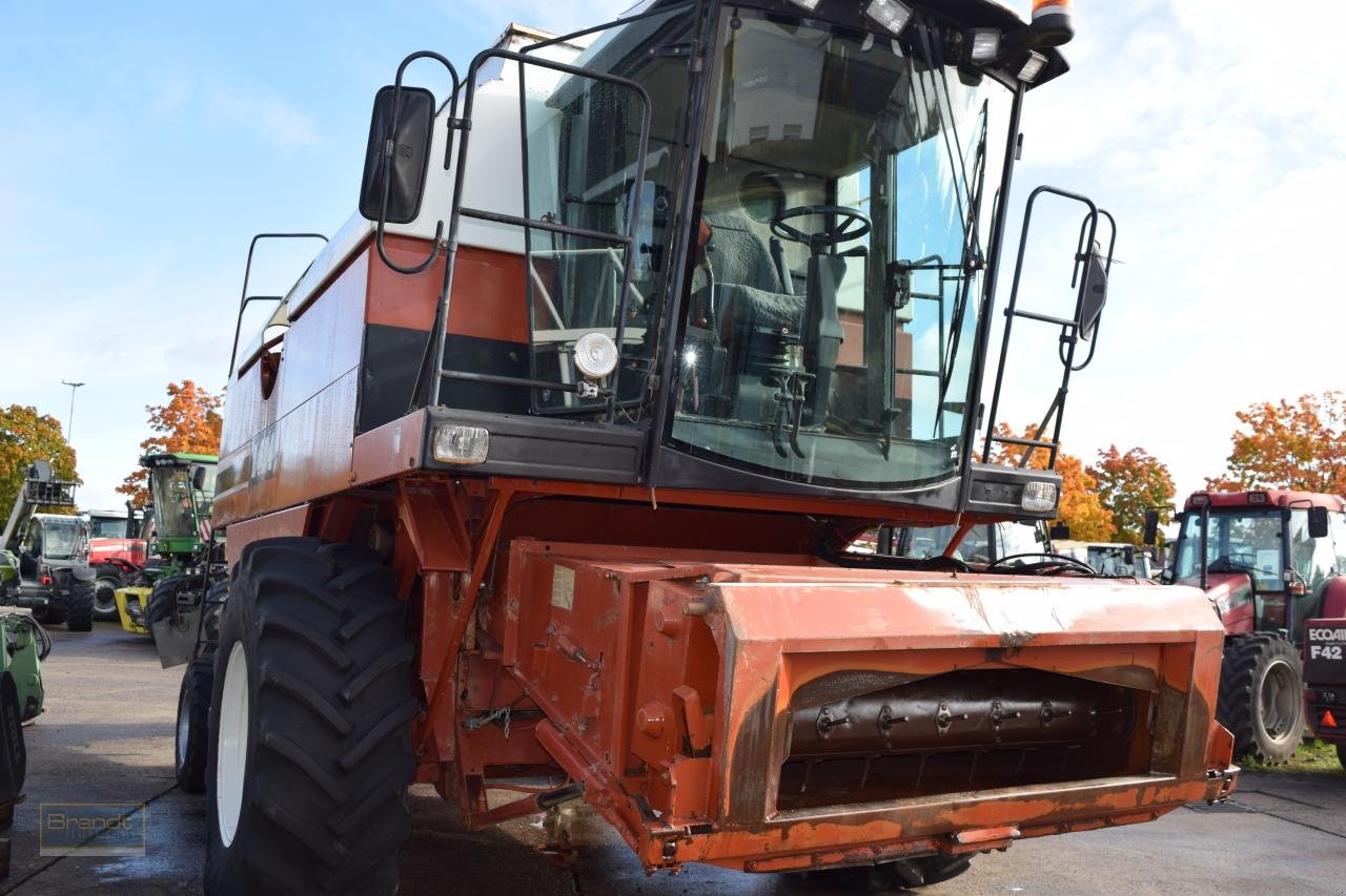 Mähdrescher typu Laverda L624, Gebrauchtmaschine w Oyten (Zdjęcie 1)