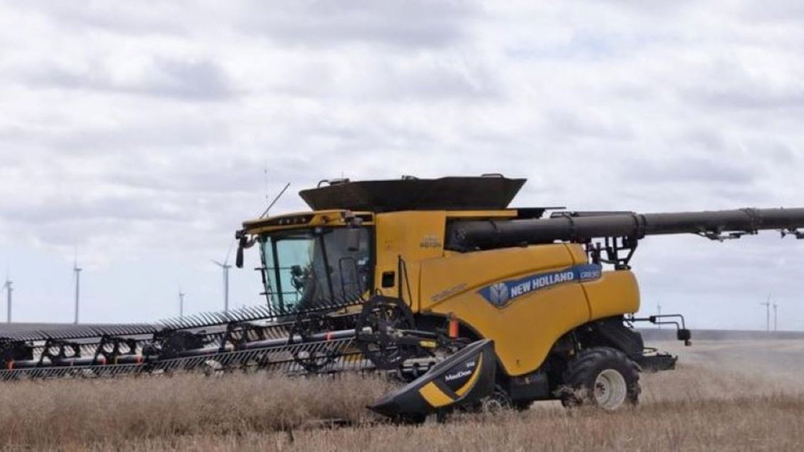 Mähdrescher of the type MacDon FD235, Gebrauchtmaschine in Middelfart (Picture 3)