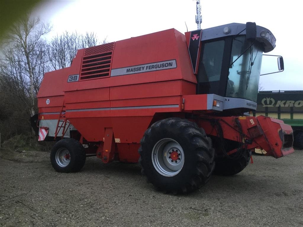Mähdrescher des Typs Massey Ferguson 38 dv 2 med autolevel skærebord, Gebrauchtmaschine in Kongerslev (Bild 1)