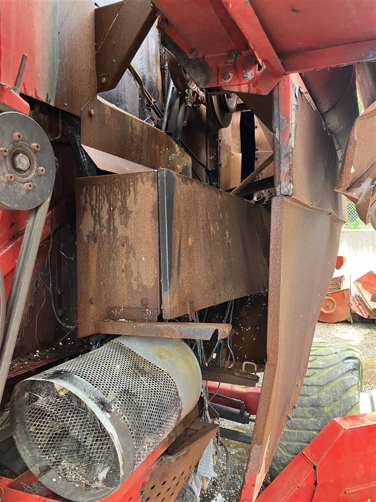 Mähdrescher del tipo Massey Ferguson 38 DV II til ophug, Gebrauchtmaschine en Rødekro (Imagen 14)