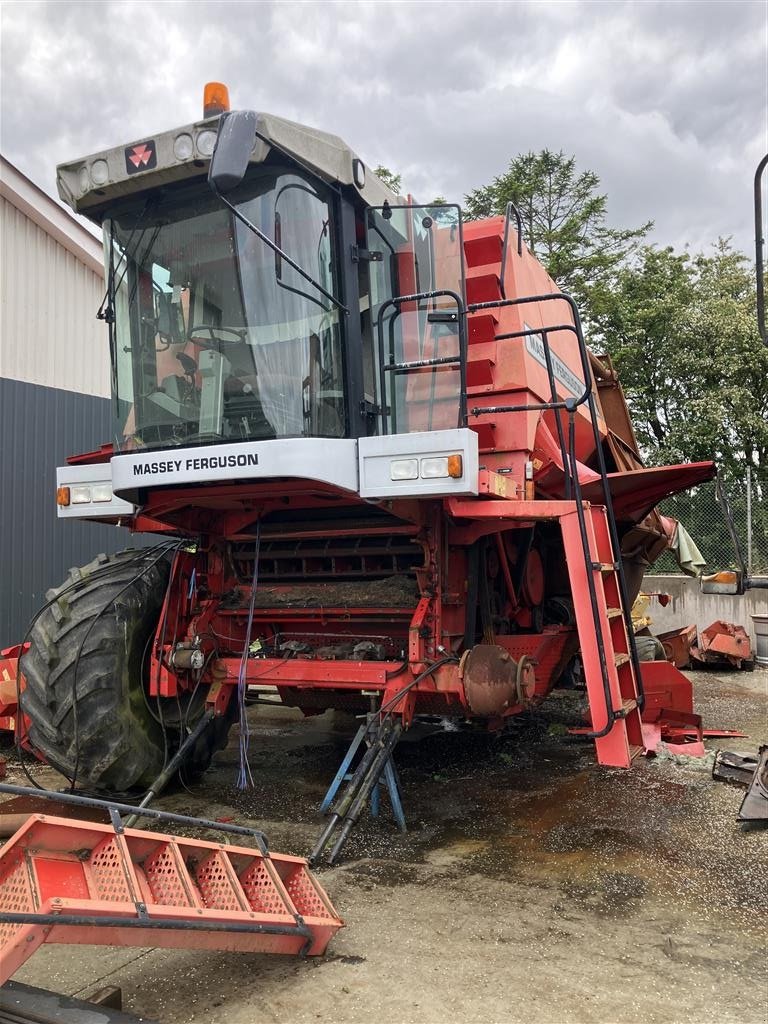 Mähdrescher del tipo Massey Ferguson 38 DV II til ophug, Gebrauchtmaschine en Rødekro (Imagen 1)