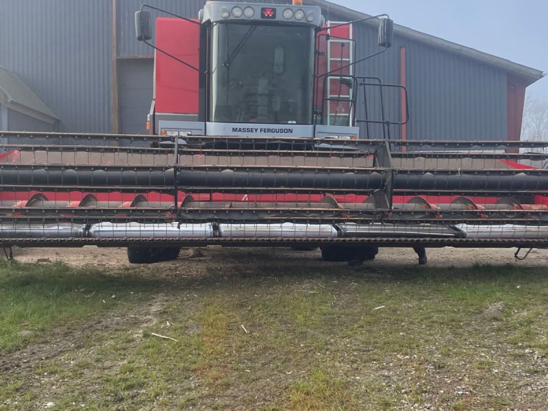 Mähdrescher типа Massey Ferguson 7278 Cerea, Gebrauchtmaschine в Haderslev
