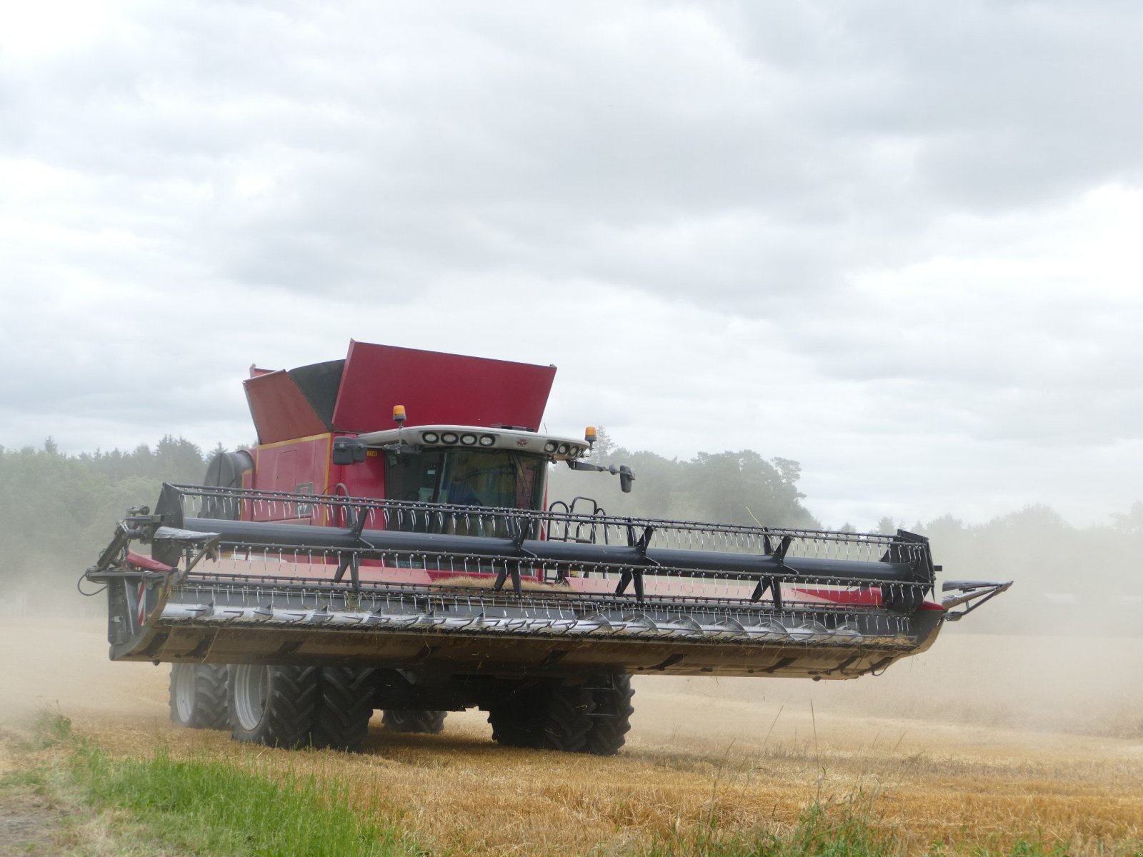 Mähdrescher typu Massey Ferguson 9895 Fortia, Gebrauchtmaschine v Großaitingen (Obrázek 1)