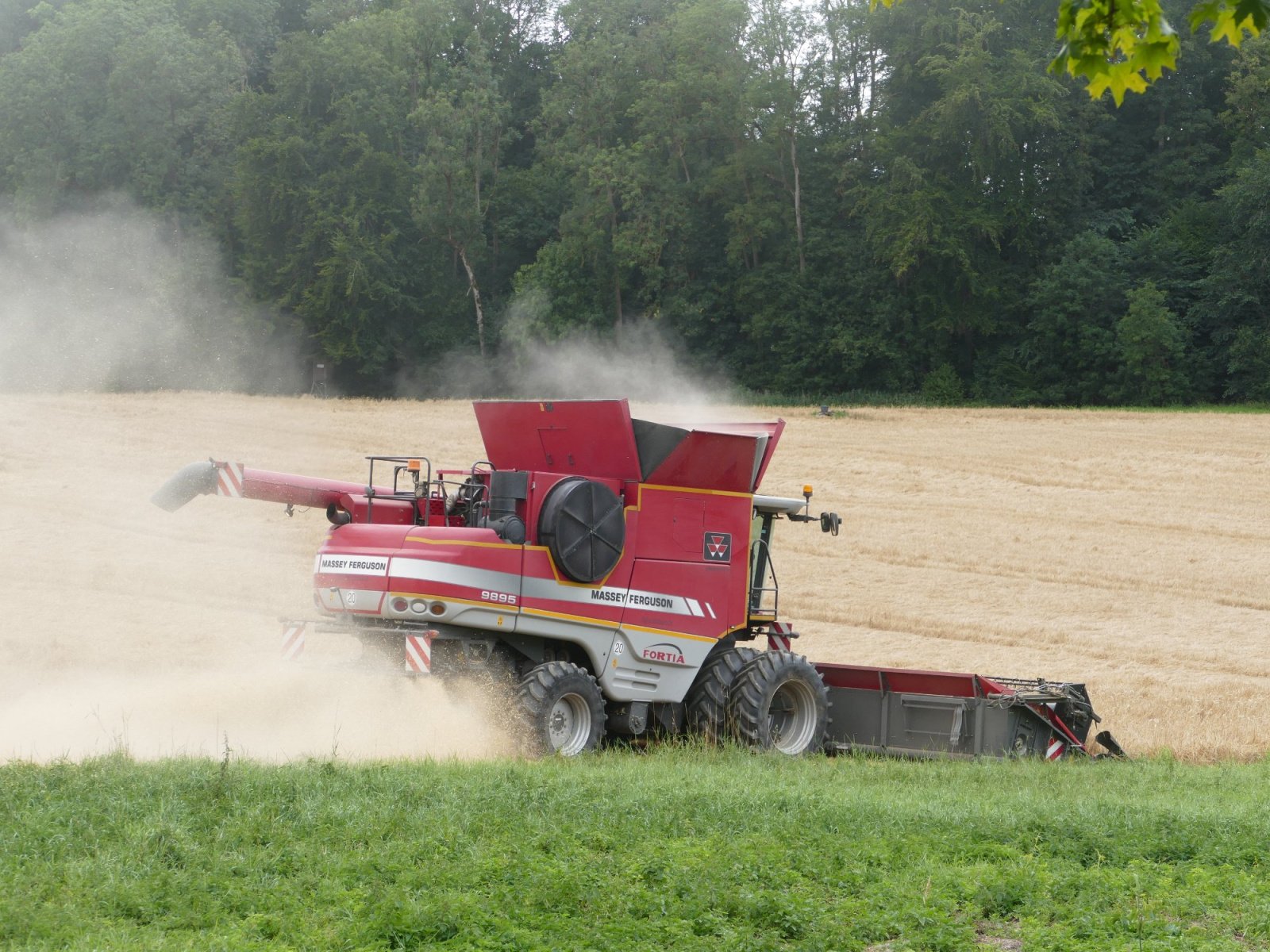 Mähdrescher typu Massey Ferguson 9895 Fortia, Gebrauchtmaschine v Großaitingen (Obrázek 5)