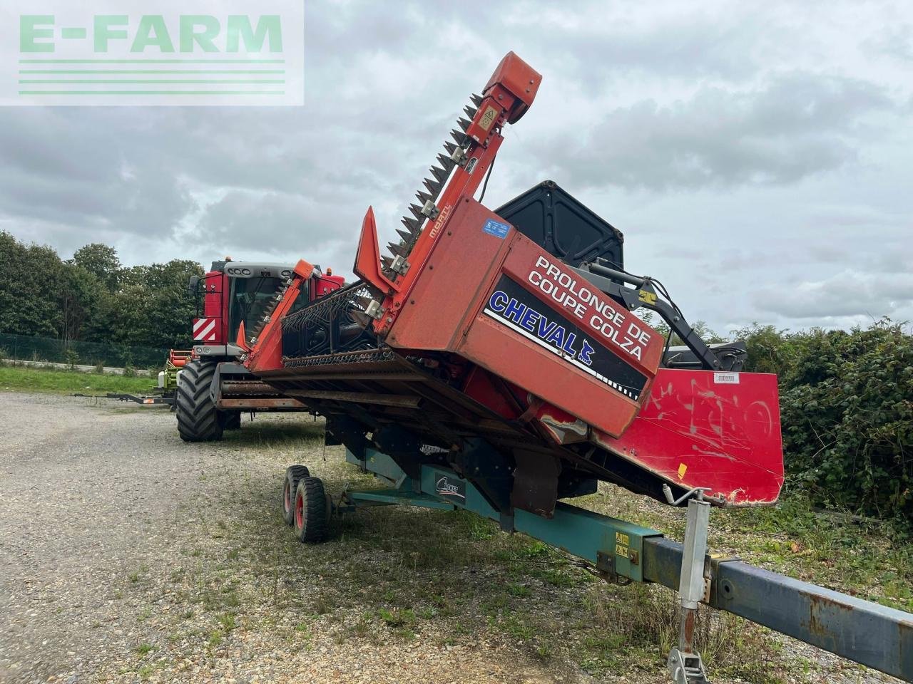 Mähdrescher typu Massey Ferguson beta 7370 pl, Gebrauchtmaschine v PONTIVY (56 - MORBIHAN) (Obrázek 9)