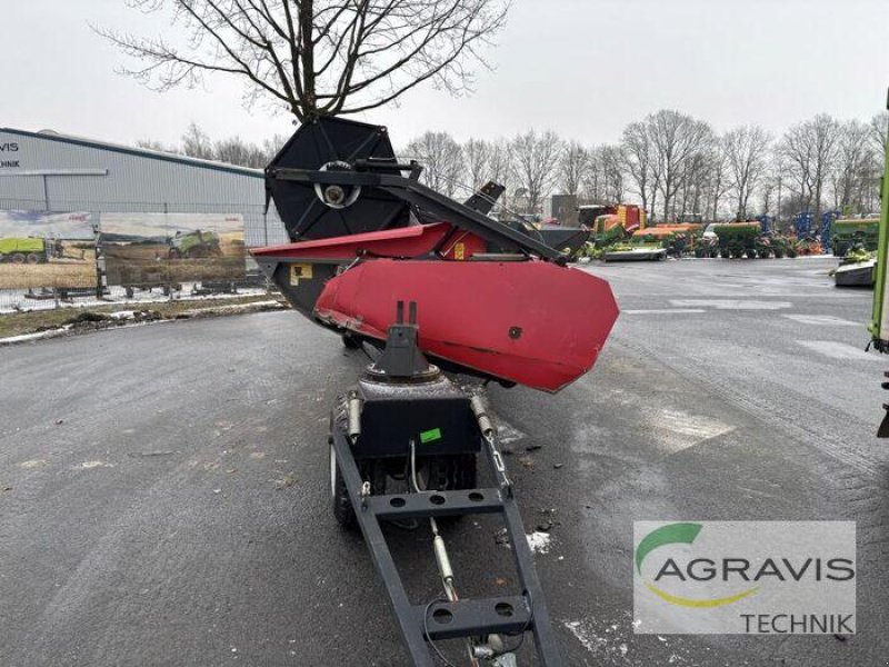 Mähdrescher a típus Massey Ferguson CEREA 7278 + PF 6,80 m, Gebrauchtmaschine ekkor: Meppen (Kép 24)