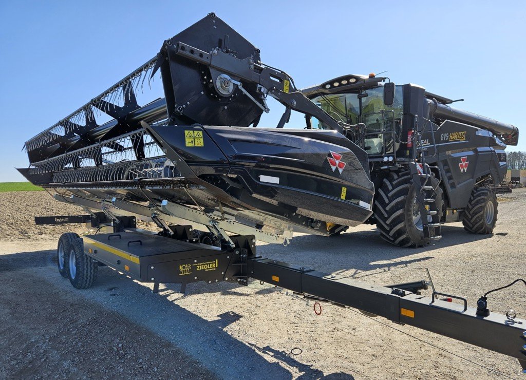 Mähdrescher Türe ait Massey Ferguson Ideal 8 PL, Gebrauchtmaschine içinde Schaffhausen (resim 2)