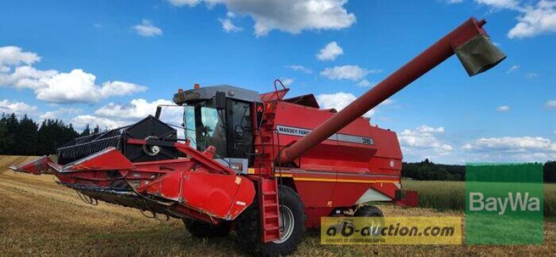 Mähdrescher des Typs Massey Ferguson MF 36 AL, Gebrauchtmaschine in Obertraubling (Bild 2)